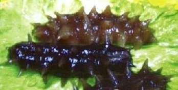 教你辨別15種最易摻毒的食品