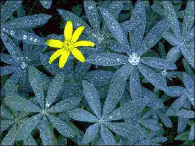 白露節氣的飲食寶典