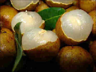 白露節氣的飲食寶典