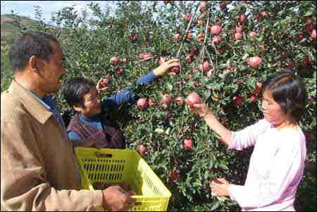 白露節氣的飲食寶典