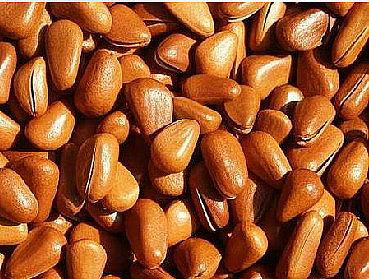 電腦族腦力勞動者多吃榛子