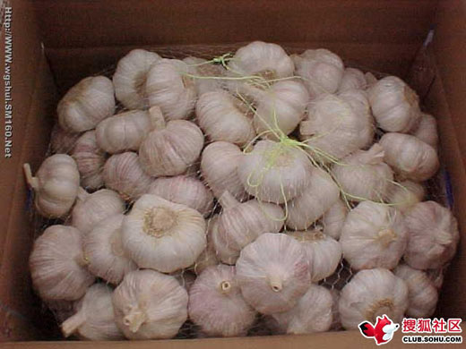 生活中盛傳的十大催情食物