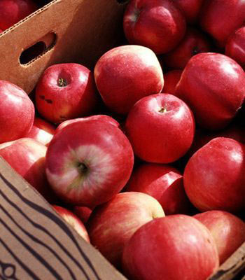 六大極品水果 養顏又塑身