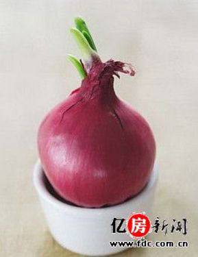 快速止牙痛!廚房里必看7個食療秘方