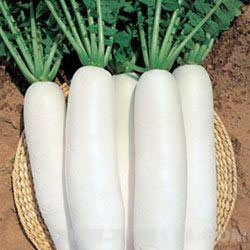 10種美白蔬菜(組圖)