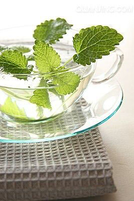 想懷孕少喝薄荷茶