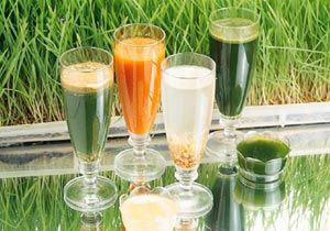 蔬果汁排毒功效未必理想(組圖)