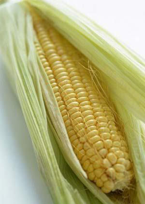 斤斤計較八大主食各自熱量