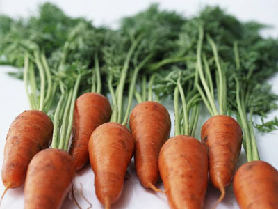 胡蘿卜