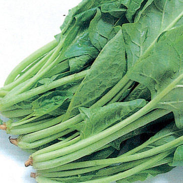 五種女人專屬養(yǎng)生最佳食物