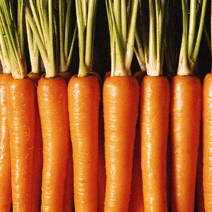 入秋最佳“排毒祛火”菜（圖）