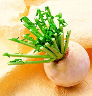 十二種不健康的虧本吃法(組圖)