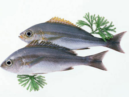 十二種不健康的虧本吃法(組圖)