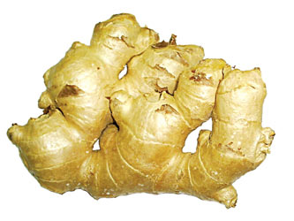 挑好姜也是學問:嫩姜炒菜 老姜熬湯(圖)