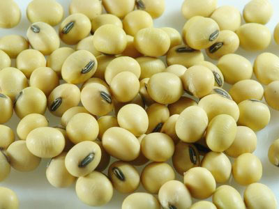 9種食物吃掉亞健康(組圖)