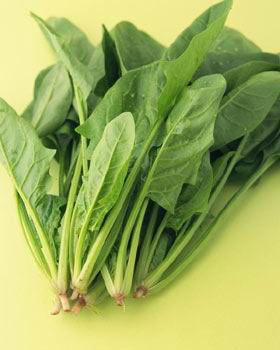 9種食物吃掉亞健康(組圖)