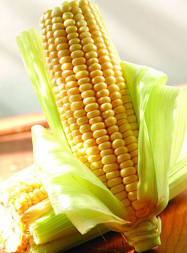 保?。罕P點各個年齡段人群飲食需求