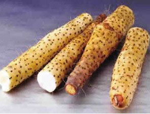 冬季養生：食物狀元榜(組圖)