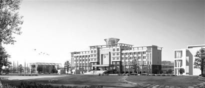 圖文：霸王醉：致力做強鄂酒塔尖