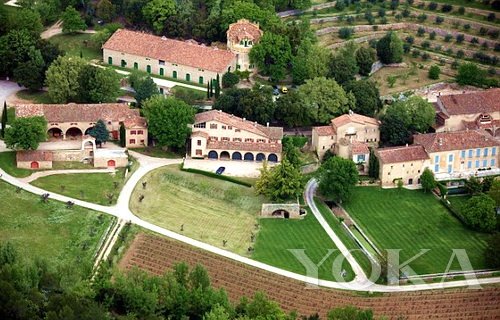 明星的酒經 朱莉皮特開賣葡萄酒