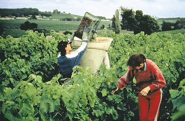 法拉賓聲明：產品符合食品安全法規