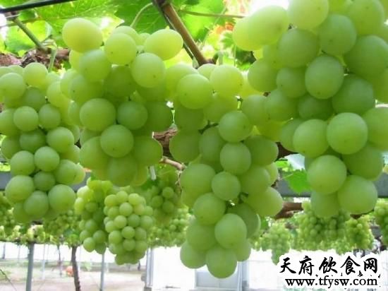 防醉酒的三種最佳水果