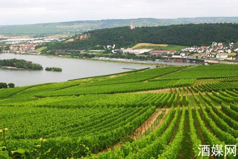 報告顯示:2012年德國葡萄酒出口持續下滑(圖)