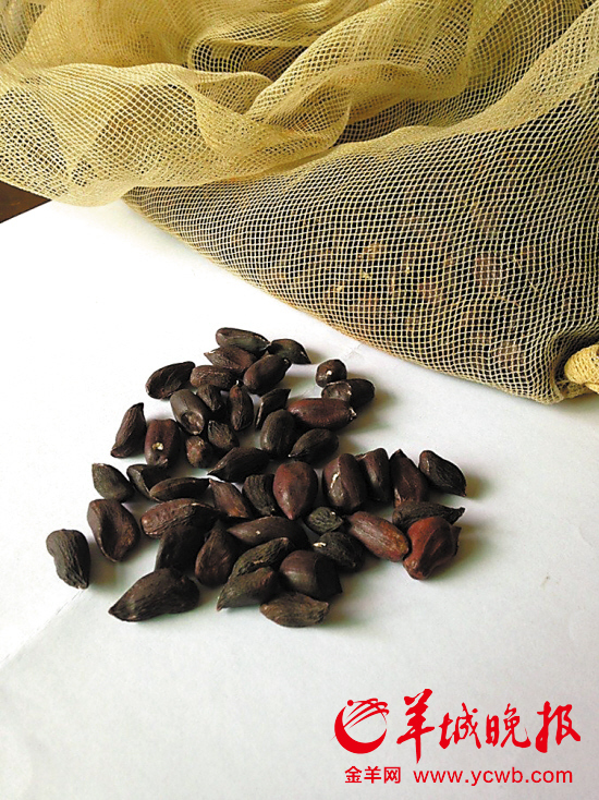 剝掉殼后的黑花生仁