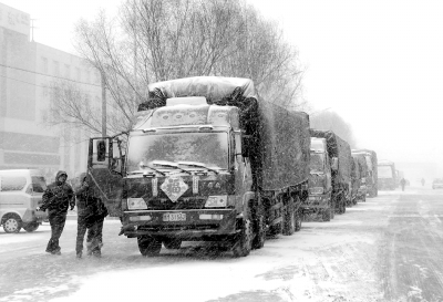 收儲企業(yè)門口排起的幾公里汽車長隊，有的農(nóng)民排隊三天兩夜都沒賣上糧。記者 王松 攝