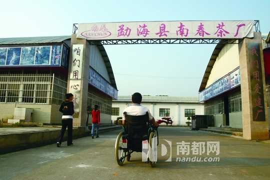 聚在一起試茶是茶客們到云南的一個重要節目。