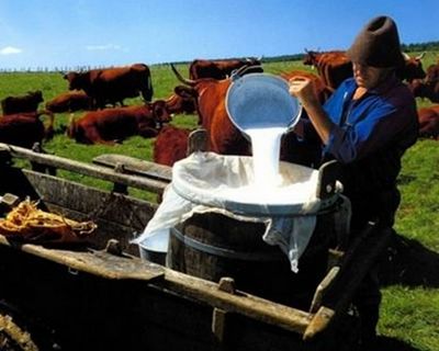 Vitagermine ：來自法國紅酒之鄉的傳奇