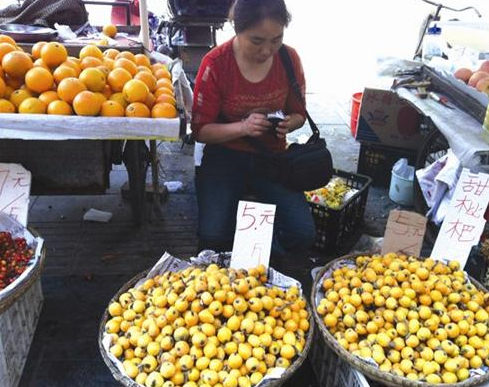 本地時令水果枇杷新鮮上市 價格及品相懸殊大