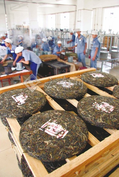 云茶謀求戰略突圍 實現轉型升級