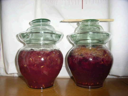 家庭釀造葡萄酒 自制葡萄酒的做法