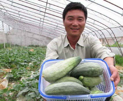 頭茬潘集酥瓜今年提前應市（圖）