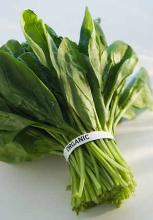 3.菠菜讓眼睛更有電力