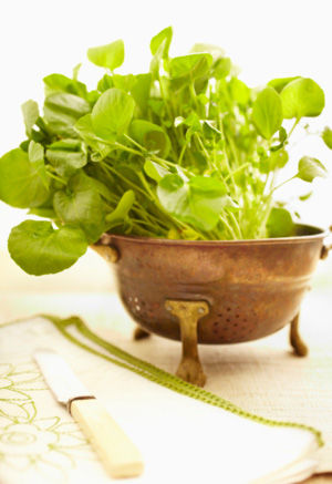 2.西洋菜防止臉部水腫