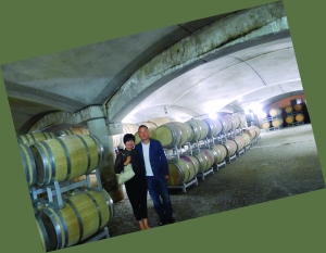 意大利皮埃蒙特阿爾巴的天卡麗塔酒莊酒窖