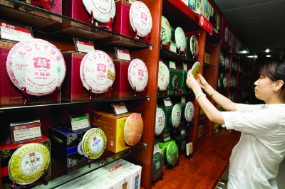 今年普洱茶價格普遍上漲。孫振飛 攝