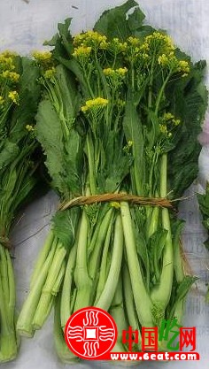 菜心的功效與作用 菜心的營(yíng)養(yǎng)價(jià)值