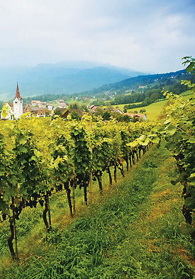 法國波爾多葡萄酒莊