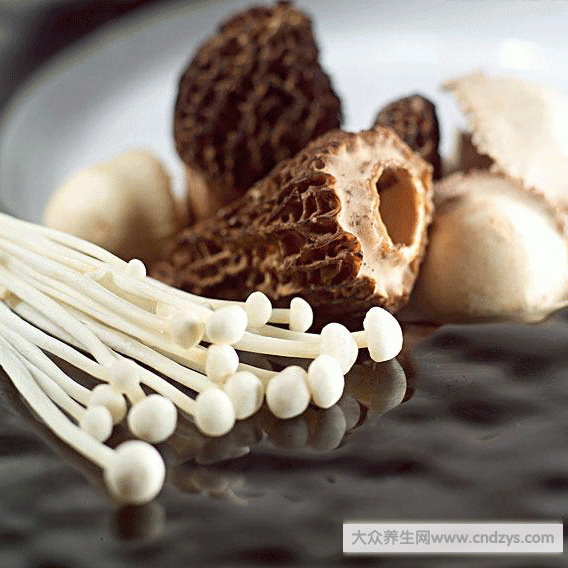 蘑菇有哪些種類-大眾養生網