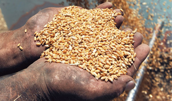 本報記者 何光偉 石玉 發自北京、鄭州