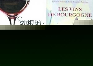 《勃根地葡萄酒》中文版面世