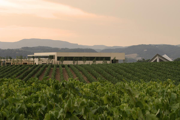 Cavas Vilarnau:來自西班牙的卡瓦起泡酒