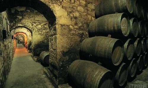 世間最美的酒窖