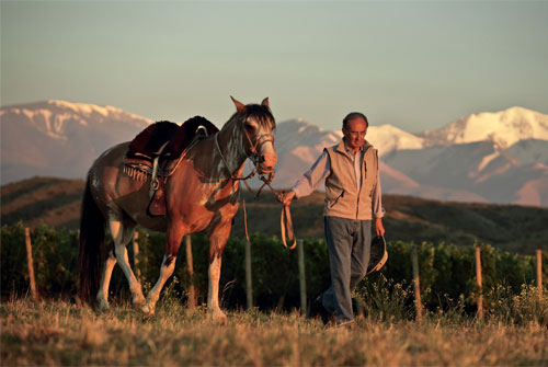 突破、推向高峰 Catena Zapata 酒莊