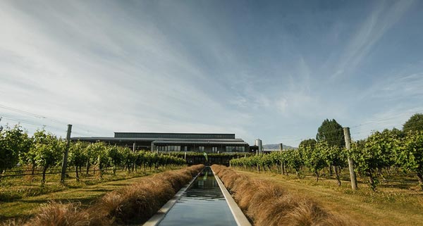 新瑪利莊園(Villa Maria Estate)