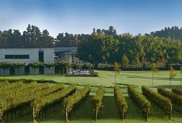 新瑪利莊園(Villa Maria Estate)