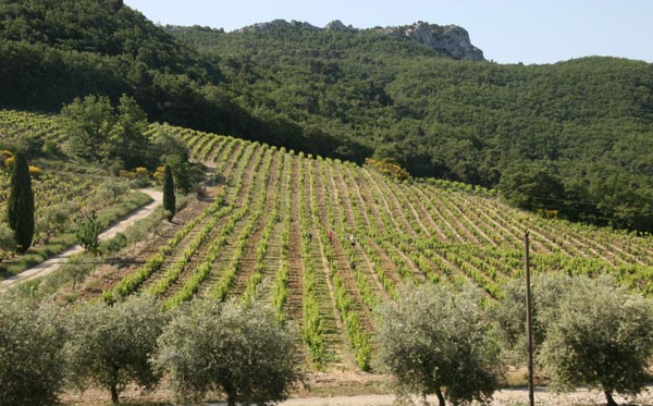 寶尚父子酒莊(Domaine Bouchard Pere & Fils)